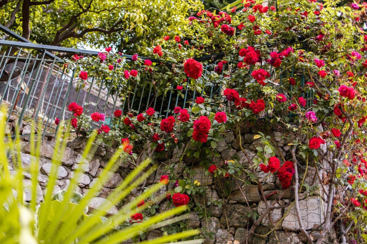 Ascheri Country House - Grimaldi, فنتيميليا المظهر الخارجي الصورة